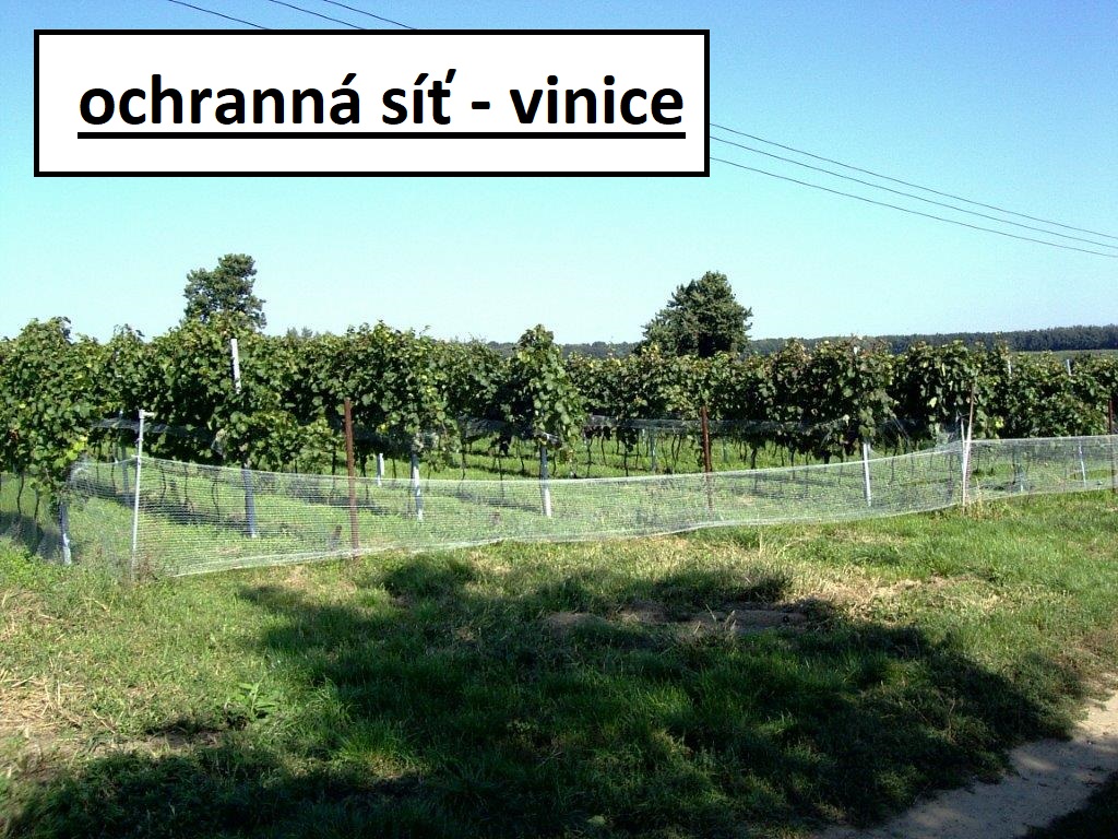 Ochranné sítě vinic, vinohradů proti špačkům