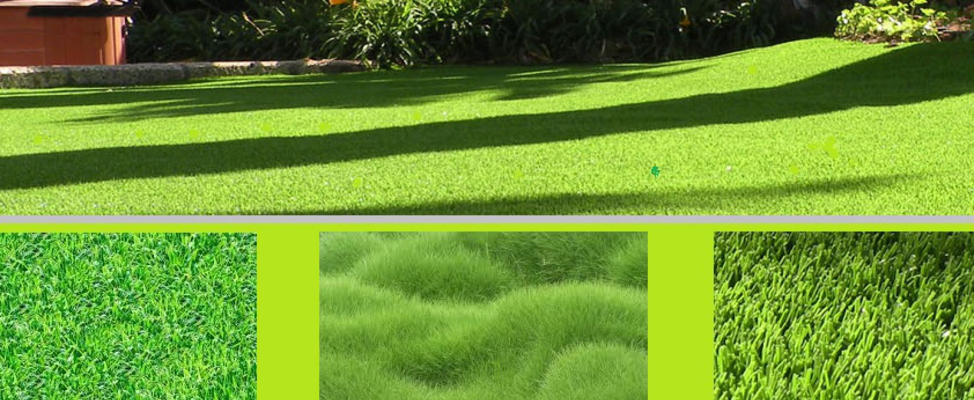 Trávníkové koberce - grass carpet